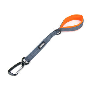 Guinzaglio resistente per animali domestici guinzaglio da passeggio piombo in alluminio leggero fibbia guinzaglio in Nylon con manici imbottiti - Product Image 5