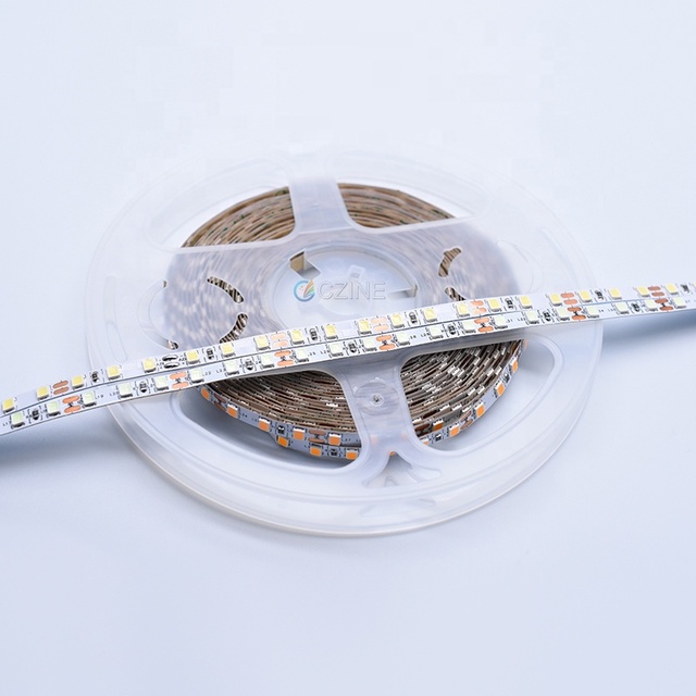 Factory SMD 2835 DC 12V 24V 8MM 120LEDs White Red Green Blue IP20 LED Light Strip