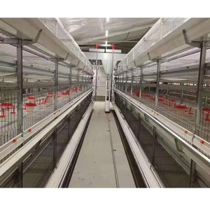 Nimal oulouly 4 Tier roroiler uutomatic atterapanone aputomatico ollaio er 2000 Galline - Product Image 2