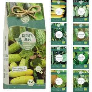 Assortiment <span class=keywords><strong>de</strong></span> légumes biologiques à haute germination-Paquet <span class=keywords><strong>de</strong></span> plantes <span class=keywords><strong>de</strong></span> courgettes <span class=keywords><strong>de</strong></span> style campagnard pour sol ou bureau - Product Image 2