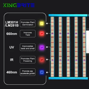 3800PCS LEDS KingBrite 1000W 2.9umol/j LM301H/LM281B + 660nm UV IR+ Blue King Brite 1000 Watts Bar LED Grow Light Lamp