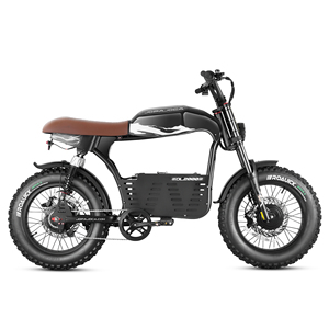 Eahora Romeo DL2000 Vélo de montagne électrique puissant personnalisé à double moteur 52V 30Ah - Product Image 6