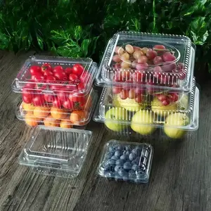 Factory Custom Size Food Grade Fruit Clamshell Containers PET Plastic Packaging Boxes