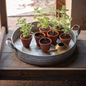 Pot de fleur décoratif de plateau de jardinière rond galvanisé fait à la main pour la décoration à la maison de fête de jardin et de plancher - Product Image 1