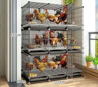 Système de Conception de Poulaillers pour l'Élevage de Volailles, Cage à Poules Pondeuses, Cage pour Poussins, Meilleur Prix, Fabrication Chinoise