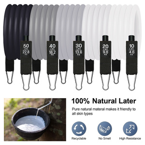 5 Levels Resistance Tube Kit with Carry Bag Exercise Poster Reusable Elastic <b>Workout</b> <b>Bands</b> Set for Men Women Home Gym Equipment - Product Image 1