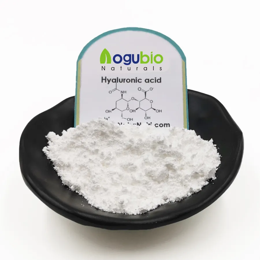 Cosmetica Grade/Food Grade Natriumhyaluronaat Poeder Hyaluronzuur
