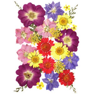 Kit d'herbes naturelles en résine époxy, fleurs séchées, lot de pièces, pour <span class=keywords><strong>Scrapbooking</strong></span>, artisanat artistique, bijoux, <span class=keywords><strong>Gel</strong></span>, Art des ongles - Product Image 4