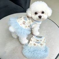 Robe d'été pour chien mignon, jupe tutu en dentelle pour petits chiens, Teddy, Pomeranian