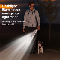 Répulsif à ultrasons portable pour chiens à 4 têtes, fréquence réglable, lampe torche LED, dispositif d'entraînement du comportement canin pour les voyages en extérieur