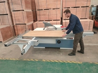 Scie à panneaux numérique horizontale de haute précision avec table coulissante automatique pour le travail du bois et du contreplaqué