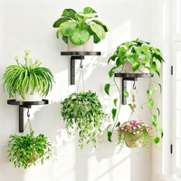 Support mural métallique pour plantes, crochet double usage, étagère murale pour plantes, support pour bain d'oiseaux et mangeoire, pot de fleurs suspendu intérieur/extérieur