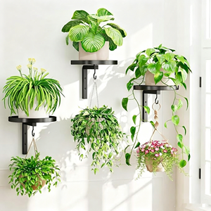 Support mural métallique pour plantes, crochet double usage, étagère murale pour plantes, support pour bain d'oiseaux et mangeoire, <span class=keywords><strong>pot</strong></span> de fleurs <span class=keywords><strong>suspendu</strong></span> intérieur/extérieur - Product Image 1