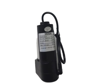 Actuador Lineal SKISIA DP1200-M6-P-50/155-S11-24V-0.5 IP1200-M6-P-450/555-S19-24V-6 Producto Nuevo Original - Product Image 4