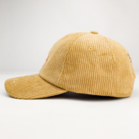 Casquettes de baseball unisexes brodées 6 panneaux en velours nylon style sportif urbain pour hommes et femmes
