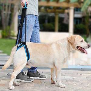 Hondenlift Achterste Mobiliteitsondersteuning Mesh Harnas Medische Hond Ouder Handvatletsel Artritis Zwakke Achterpoten En Gewrichten - Product Image 4