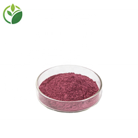 Groothandel 100% natuurlijk gevriesdroogd Miracle Berry fruitpoeder Miracle Fruit Berry poeder wateroplosbaar Miracle Fruit poeder