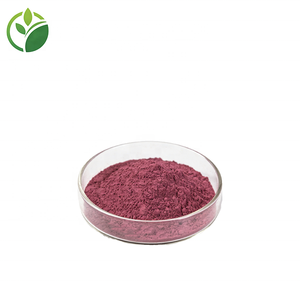 Polvere di Frutta Miracolosa 100% Naturale Liofilizzata all'Ingrosso, Polvere di Bacche Miracolose Idrosolubile - Product Image 3