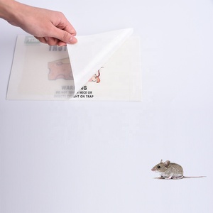 Hộ gia đình rat thấm dùng một lần chuột dính bẫy keo Hội Đồng Quản trị rat Keo Bẫy - Product Image 1