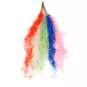 Plantas de helecho <span class=keywords><strong>Ming</strong></span> de alta calidad, hojas de flores secas, flores preservadas, helechos de espárragos para bodas - Product Image 3