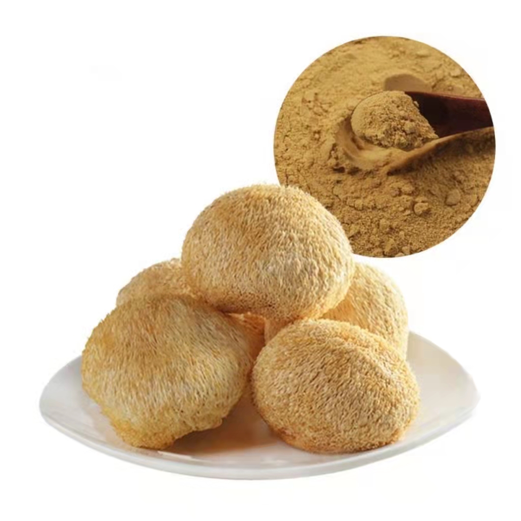Lion's mane mushroom extract / cordyceps mushroom extract powder