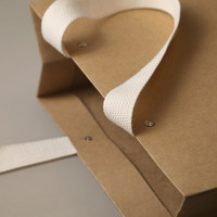 Sacs en papier écologiques classiques avec laminage et poignée en ruban pour l'emballage de vêtements et de chaussures, grande capacité