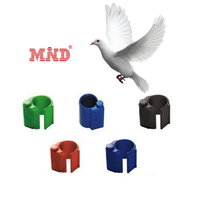 Étiquette RFID colorée pour suivi d'animaux, système Benzing, étiquette de patte RFID pour pigeon/oiseau avec puces