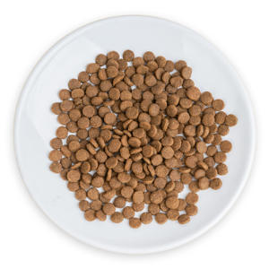 OEM comida seca para mascotas sabor a pollo comida completa para gatos o perros aperitivos para perros fábrica de alimentos para mascotas - Product Image 6