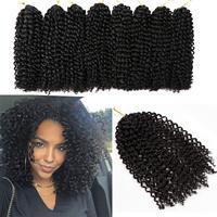 Extensions de cheveux synthétiques bouclés afro kinky teints, 8 pouces, 3 paquets, 90g, en fibre haute température pour tresses au crochet