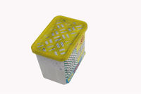 Boîte de déshumidificateur de recharge haute capacité absorbant l'humidité-Boîtier en plastique Piège humide étanche pour le stockage sous le lit