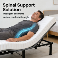 Cadre de lit réglable haut de gamme, relaxation zéro gravité, ajustement fluide et confortable pour chambre à coucher, hôtel, vente en gros, certifié CE