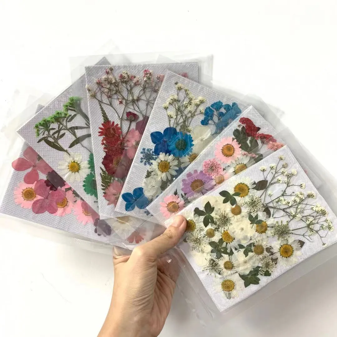 مختلطة متعددة اليدوية الملونة متنوعة بالجملة DIY زهور ريال الطبيعية المجففة الزهور
