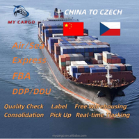 Transport maritime rapide Chine vers République tchèque DDP DDU Conteneur 40 pieds 20 pieds LCL FCL Transport multimodal Porte à Porte