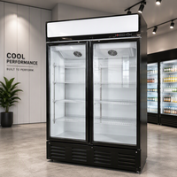 Vitrines réfrigérées commerciales pour boissons, à contrôle manuel de la température, économie d'énergie, portes simple/double/triple