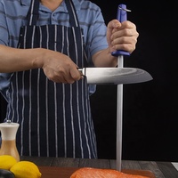 AMSZL Tige d'affûtage de couteau de cuisine écologique de 12 pouces en acier allié à haute teneur en carbone, grain grossier (100-400), manche en plastique bleu