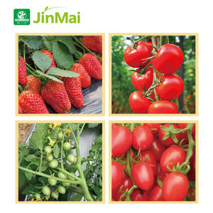 Fertilizante Compuesto de Alto Contenido de Fósforo y Potasio 10-20-20 + Mg Ca S, Micronutrientes Quelados, Fertilizante NPK <span class=keywords><strong>para</strong></span> Flores y Frutas - Product Image 4