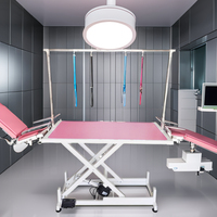 Table de toilettage électrique professionnelle pour animaux de compagnie avec plateau antidérapant, table élévatrice pour ciseaux, pour grands chiens et soins de qualité salon