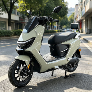 Motocicleta CKD SKD de 12 Pulgadas, 1100/1300W, 60km/h, 2 Ruedas, para Deportes al Aire Libre - Product Image 1