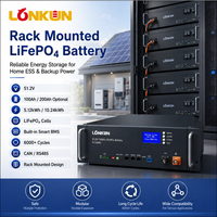 Baterai LiFePO4 Longkun Rakit 51.2V 100Ah 200Ah 5.12kWh 10.24kWh Penyimpanan Energi Rumah ESS dengan Smart BMS