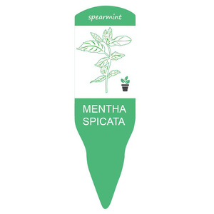 ป้ายกำกับดอกไม้กันน้ำสำหรับกระถางปลูกผลไม้ภาชนะปลูกผัก HDPE เป็นมิตรกับสิ่งแวดล้อม - Product Image 3