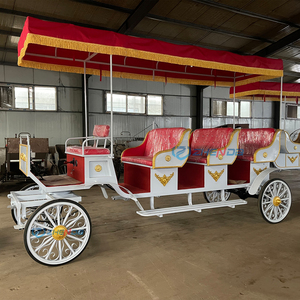 Carruaje Turístico Eléctrico o de Caballos Personalizado para Parques y Atracciones, Nuevo Estilo, Gran Venta - Product Image 5