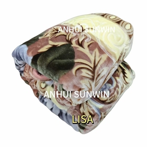 Vente en gros <span class=keywords><strong>Couverture</strong></span> américaine en vison de Dubaï Couvertures de lit double bon marché Couvertures raschel épaisses de haute qualité pour l'hiver King Size 4kg 6kg - Product Image 6