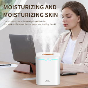 Nuevo hogar 2L gran capacidad doble boquilla Aroma difusor silencioso dormitorio escritorio purificación de aire humidificador ultrasónico - Product Image 2