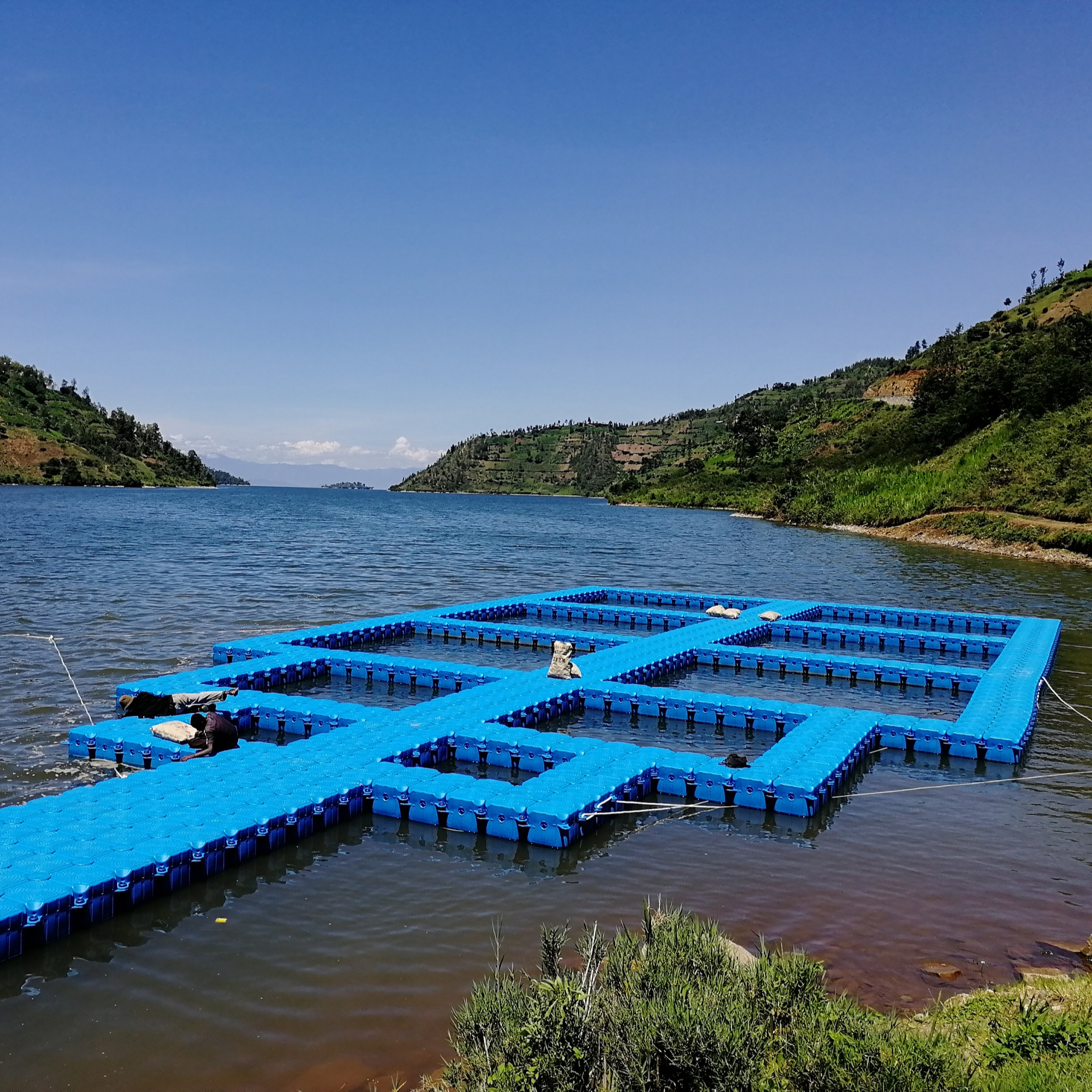 8mx8m Aquaculture Square Cage Fish Trap for sale