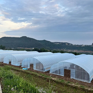 High Quality <strong>Agricultural</strong> Multi-span Hot-dip Galvanized Pipe Structure Greenhouse with <strong>Shading</strong> <strong>Net</strong> - Product Image 6