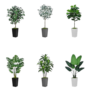 Factory <b>Plastic</b> Artificial Flower Dracaena <b>Plants</b> Outdoor Hotel and Family Wedding Decoration Planted - Product Image 4
