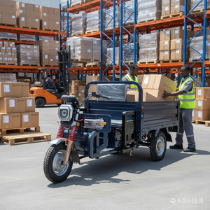 Hot Sell Tricycle 800W Motor 400kg Payload Steel Frame <b>2</b> <b>Passengers</b> Long-distance Travel - Product Image 1