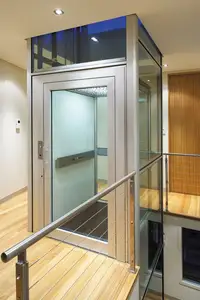 Lift rumah kabin desain kecil lift rumah kabin lift pandangan hemat biaya sedang lift komersial kabin