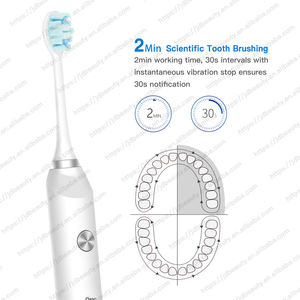 Brosse sonique intelligente pour adultes, aimantée, 40200 VPM, 4 modes personnalisés, étanche IPX7, autonomie de 30 <span class=keywords><strong>jours</strong></span>, alerte de <span class=keywords><strong>3</strong></span> mois, kit 2 têtes - Product Image 4