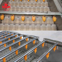 Industriële rode dadels wasmachine fruit- en groentereinigingsapparatuur fruitwasmachine voor voedselverwerkingslijn